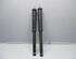 Shock Absorber PEUGEOT 107 (PM, PN)