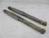 Shock Absorber RENAULT Modus/Grand Modus (F/JP0)