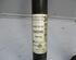 Shock Absorber VW Polo (6C1, 6R1)