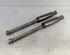 Shock Absorber FIAT Stilo (192)