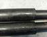 Shock Absorber MERCEDES-BENZ A-Klasse (W169)