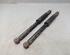 Shock Absorber RENAULT Clio III (BR0/1, CR0/1), RENAULT Clio IV (BH)