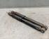 Shock Absorber RENAULT CLIO III (BR0/1, CR0/1)