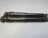 Shock Absorber RENAULT MEGANE III Grandtour (KZ0/1)