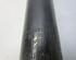 Shock Absorber RENAULT MEGANE III Grandtour (KZ0/1)