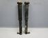 Shock Absorber RENAULT MEGANE II (BM0/1_, CM0/1_)