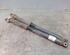 Shock Absorber FORD C-MAX (DM2), FORD FOCUS C-MAX (DM2)