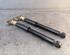 Shock Absorber VW GOLF V (1K1), VW GOLF VI (5K1)