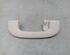 Grab Handle MERCEDES-BENZ B-CLASS (W245)