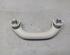 Grab Handle SKODA FABIA III (NJ3)