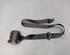 Safety Belts AUDI A4 Avant (8K5, B8)