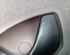 Interior Door Handle RENAULT ZOE (BFM_)