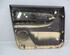 Door Card (Door Panel) SKODA Roomster (5J)