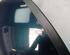 Wing (Door) Mirror RENAULT Espace IV (JK0/1)