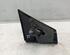 Wing (Door) Mirror RENAULT CLIO III (BR0/1, CR0/1)