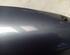 Wing (Door) Mirror RENAULT CLIO III (BR0/1, CR0/1)