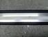 Door Sill AUDI A4 (8K2, B8)