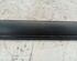 Door Sill BMW Z3 Roadster (E36)