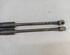 Bootlid (Tailgate) Gas Strut Spring VW Touran (5T1)