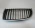 Radiator Grille BMW 3er (E90)