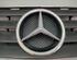 Radiator Grille MERCEDES-BENZ A-Klasse (W168)