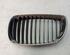 Radiator Grille BMW 1er (E87)