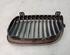 Radiator Grille BMW 1er (E87)