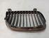 Kühlergrill Grill Frontgrill Niere Set rechts und links BMW 1 (E87) 116I 85 KW