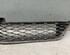 Radiateurgrille MERCEDES-BENZ B-Klasse (W245)