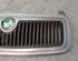 Radiator Grille SKODA FABIA I (6Y2)