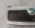 Radiator Grille SKODA FABIA I (6Y2)