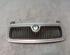 Radiator Grille SKODA FABIA I (6Y2)