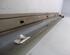 Sill Trim MERCEDES-BENZ A-Klasse (W169)