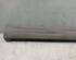 Sill Trim MERCEDES-BENZ A-CLASS (W169)