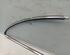 Trim Strip Bumper MERCEDES-BENZ CLK (C208)