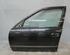 Door BMW 5er Touring (E39)