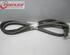 Door Seal JEEP Grand Cherokee II (WG, WJ)