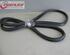 Door Seal OPEL Zafira/Zafira Family B (A05)