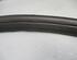 Door Seal SKODA Roomster (5J)