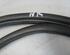 Door Seal MERCEDES-BENZ A-Klasse (W169)