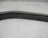 Door Seal JAGUAR S-Type (X200)