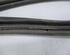 Door Seal VW Golf VII (5G1, BE1, BE2, BQ1)