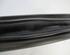 Door Seal KIA Picanto (TA)