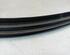 Door Seal VOLVO S40 II (544)