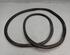 Door Seal OPEL Corsa D (S07)