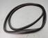 Door Seal FIAT 500 (312), FIAT 500 C (312)