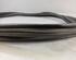 Door Seal VW Touran (5T1)