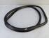 Door Seal OPEL Insignia A Sports Tourer (G09)