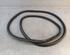 Door Seal PORSCHE CAYENNE (92A)