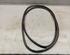 Door Seal AUDI A6 (4F2, C6)